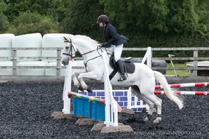 Class 5 - Fences not above 2'6